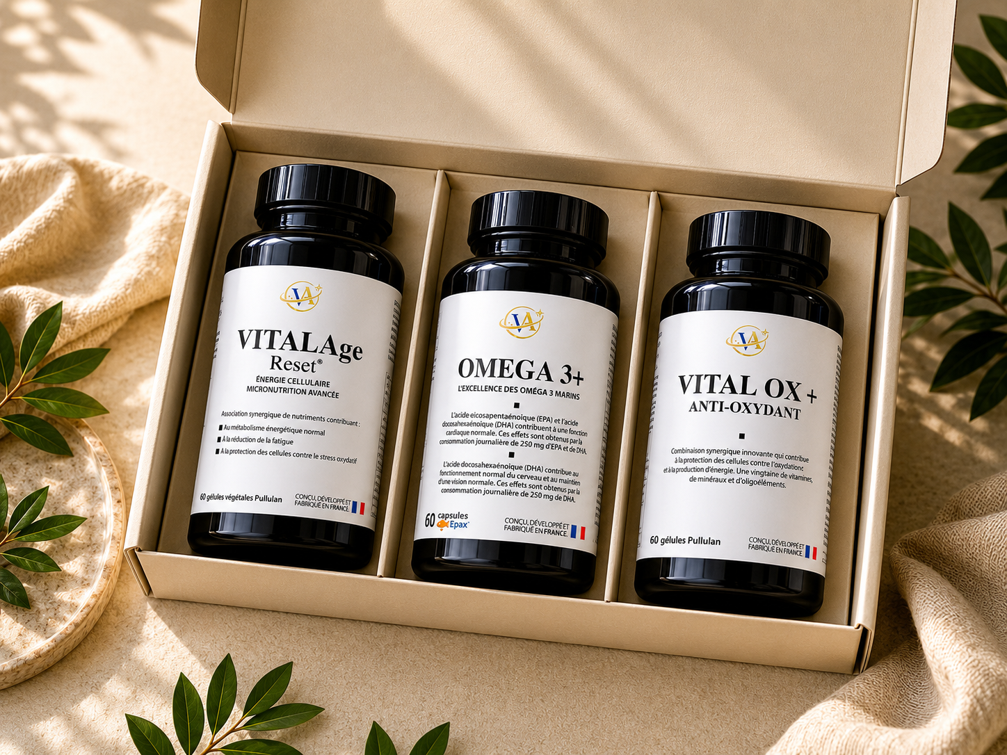 The Vitality+ program