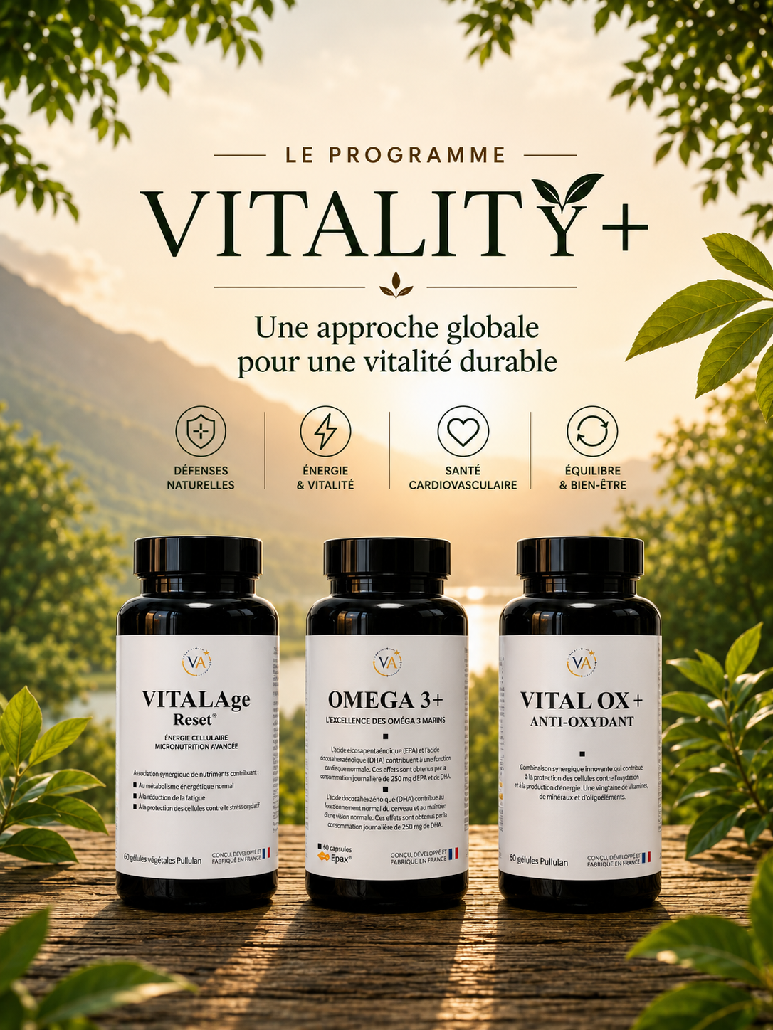The Vitality+ program