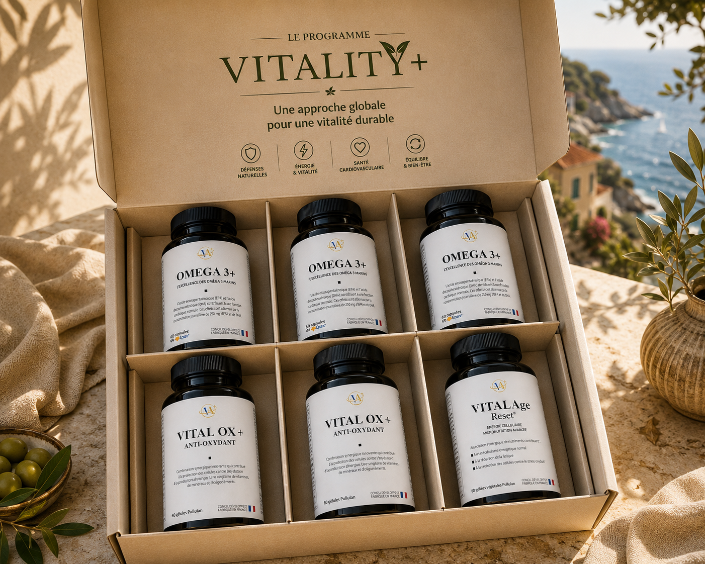 The Vitality+ program